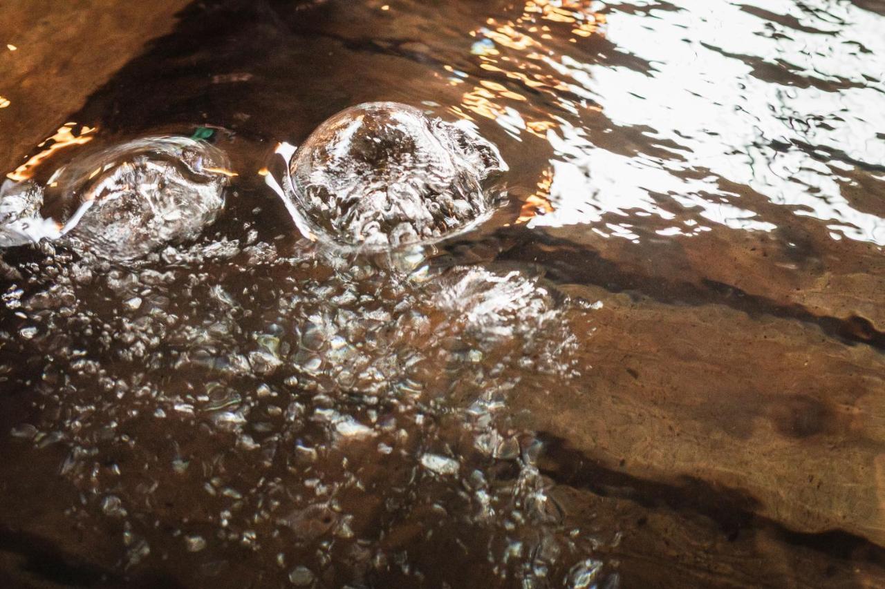 Tsuta Onsen Ryokan Товада Экстерьер фото